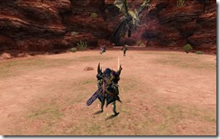 mhf_20081224_000806_489