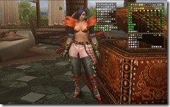 mhf_20090115_221613_830