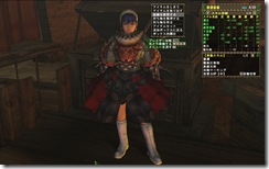 mhf_20090126_184626_451