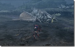 mhf_20081212_232857_422